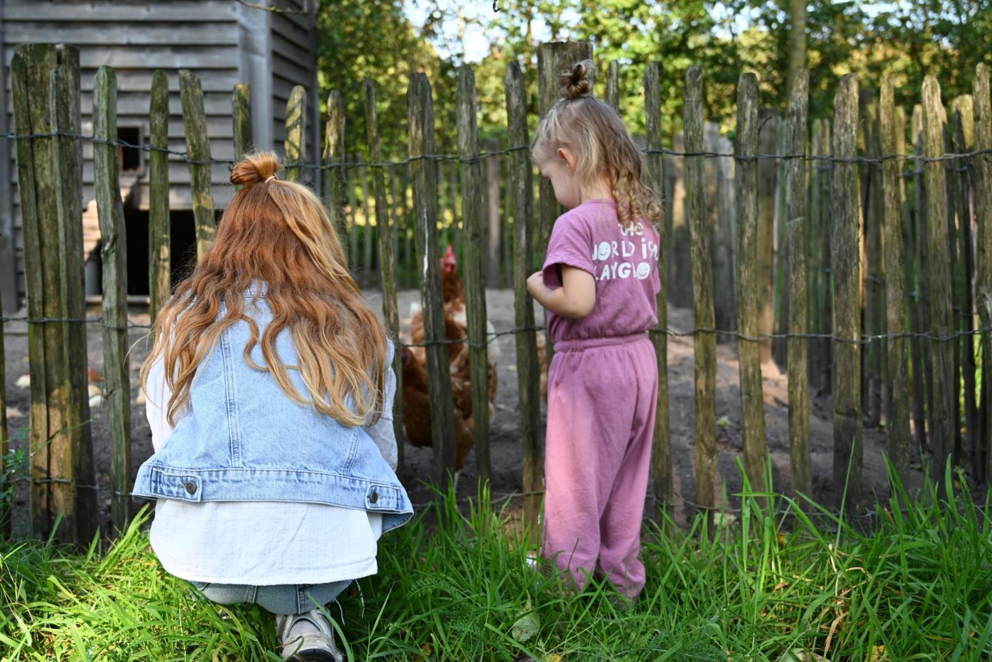 Boksheidebuiten Eersel Bagian luar foto